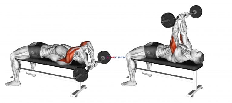 17481101 EZ Bar Lying Close Grip Triceps Extension Behind Head Upper Arms max 766x340 1