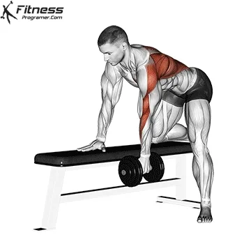 أفضل 5 تمارين الظهر في الجيم لتضخيمه: بالترتيب و الصور 6 تمرين المنشار Dumbbell Row