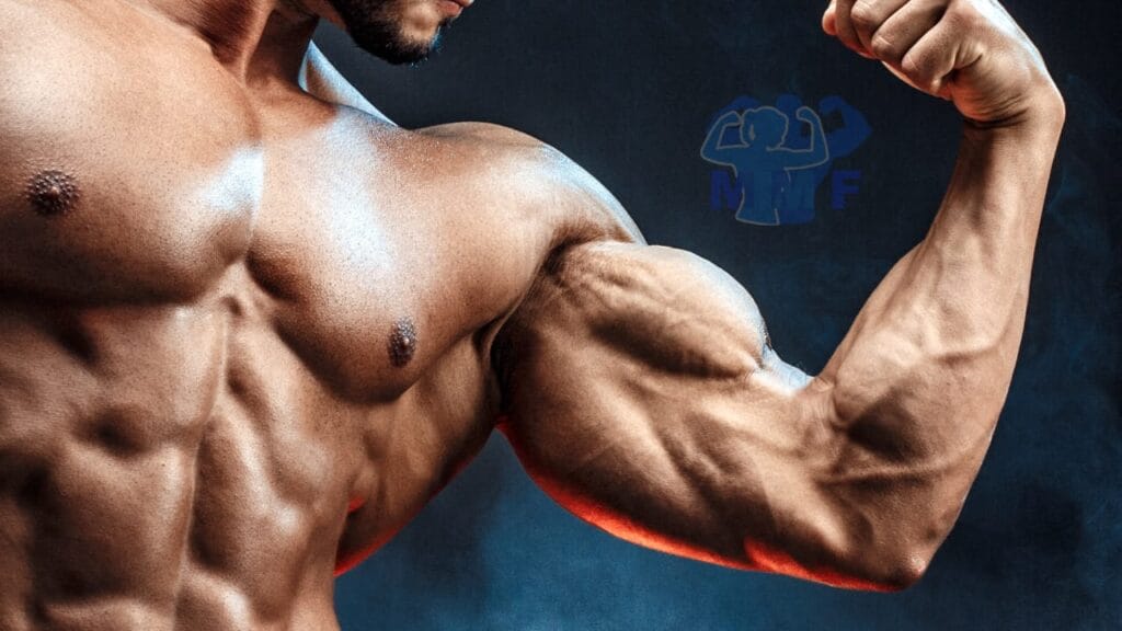 best biceps exercises for bicep growth