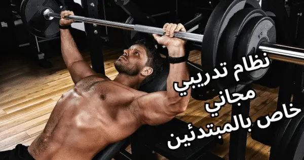 برنامج تدريبي مجاني للمبتدئين