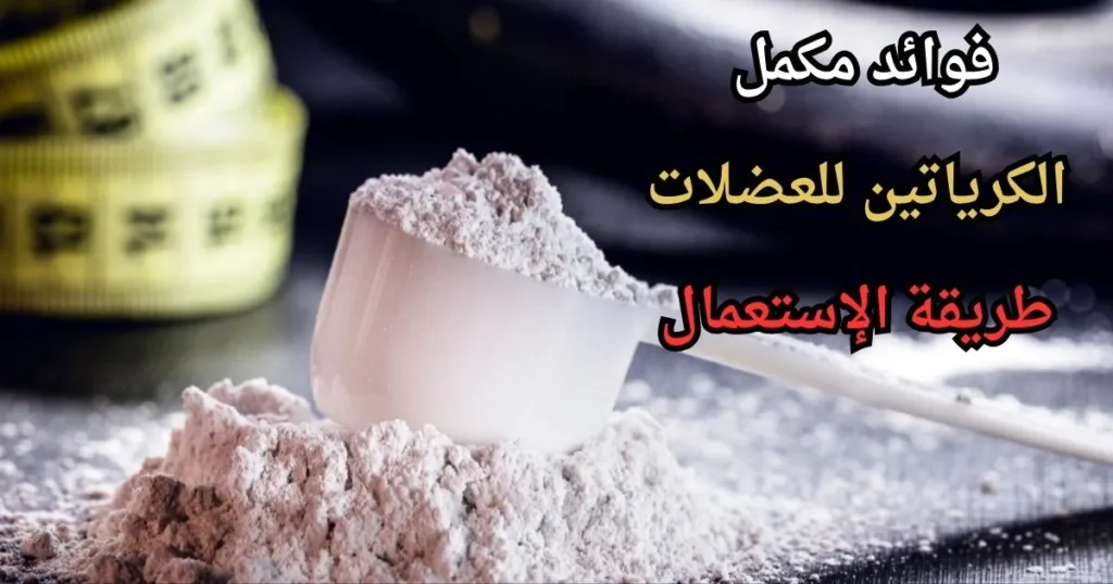 تمارين لتضخيم عضلة البايسبس 1