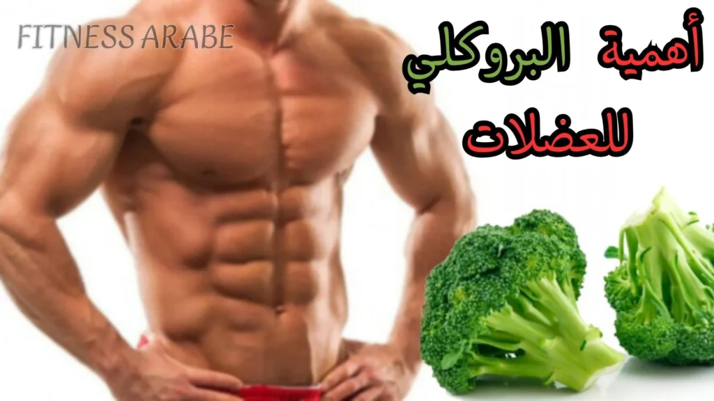 أهمية البروكلي للعضلات