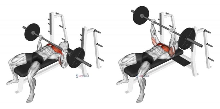 تمرين Barbell Bench Press