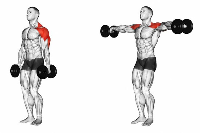 الرفرفة جانبي بالدامبلز Lateral Raises