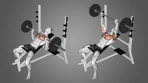 تمرينincline barbell bench press