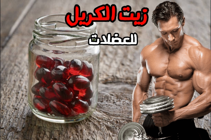 مكمل زيت الكريل للعضلات