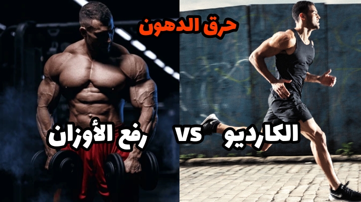 ما الأفضل لحرق الدهون