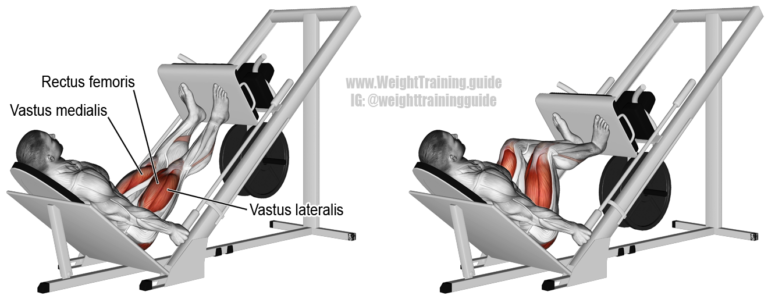 تمرين Leg press