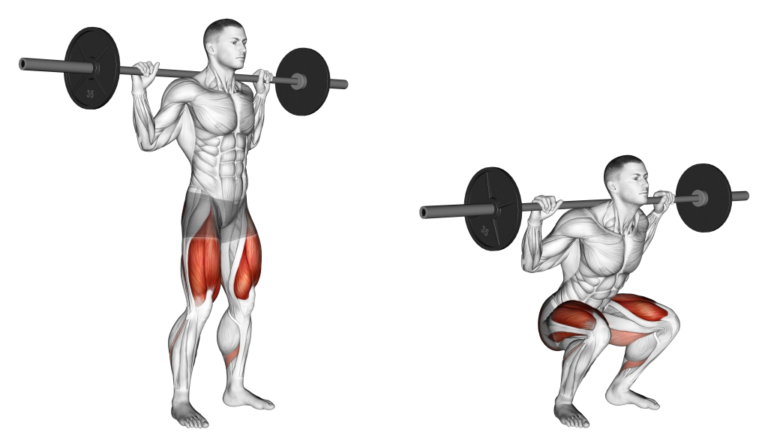 تمرين Squat bar