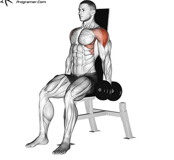 تمرين Seated Dumbbell Lateral Raise