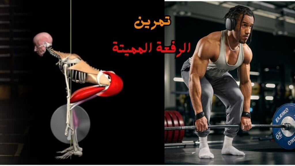 تمرين الرفعة المميتة