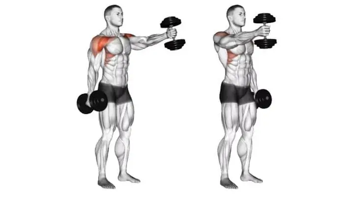 أفضل 6 تمارين كتف أمامي بالصور: كيفية التمرين 2025 7 Dumbbell Front Raise hammer grip - تمرين رفع الدمبل للأمام