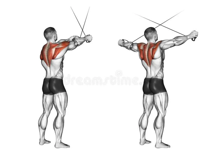تمرين سحب خلفي بالكابل